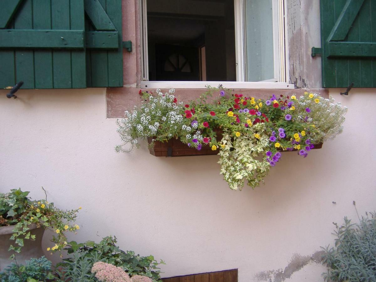 Charmant Petit Appartement En Alsace Bouxwiller  Exterior photo